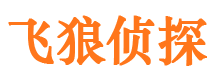 沙坡头飞狼私家侦探公司